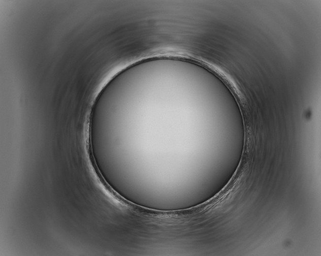X0000100751383200806190813