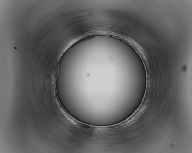 X0000100751385200806190812