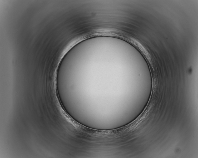 X0000100751386200806190812
