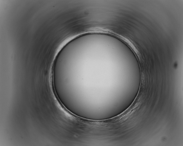 X0000100751387200806190812