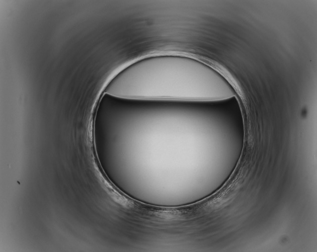 X0000100751388200806190812