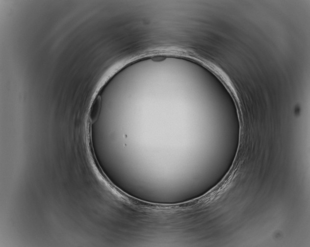 X0000100751389200806190812