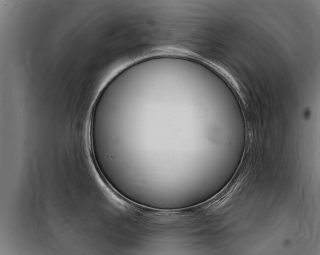 X0000100751391200806190812
