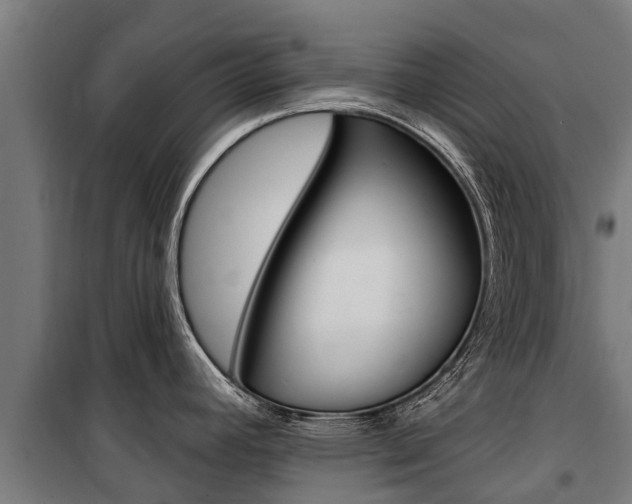 X0000100751392200806190812