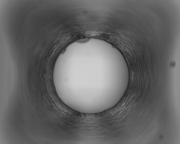 X0000100751393200806190812