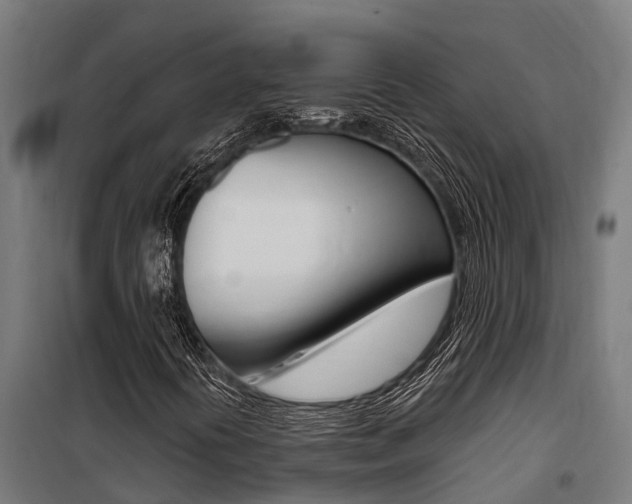 X0000100751394200806190812