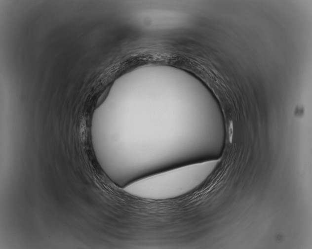 X0000100751395200806190812