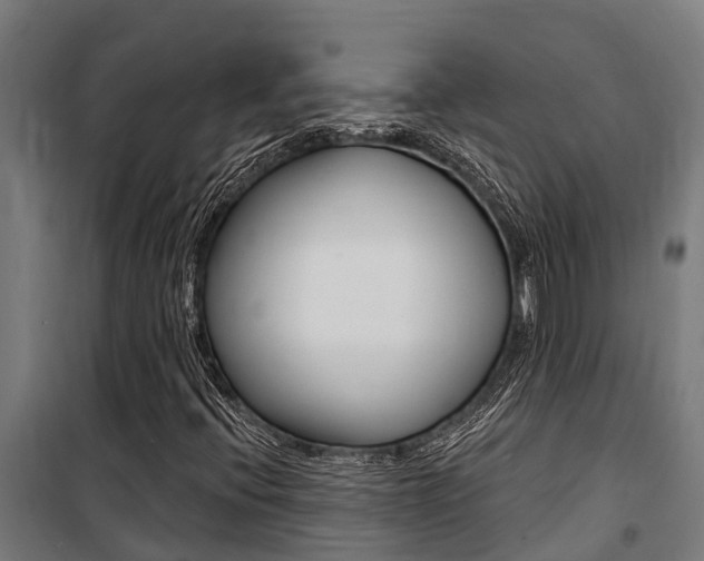 X0000100751396200806190812