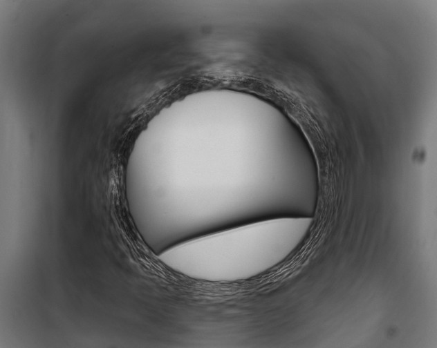 X0000100751397200806190812