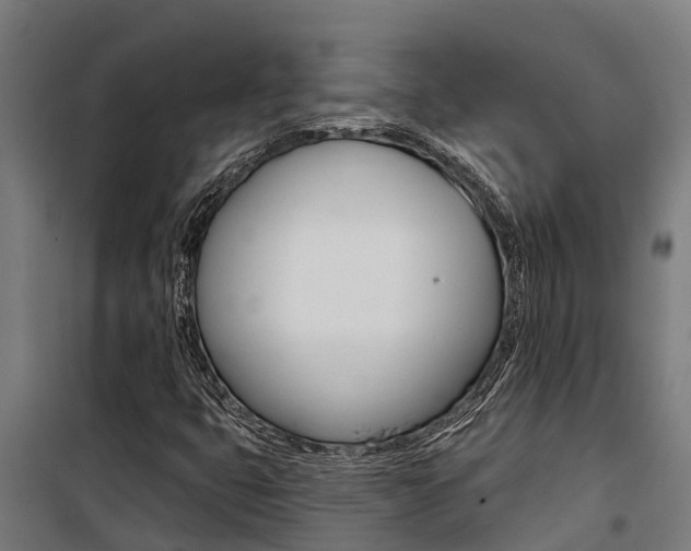 X0000100751399200806190812