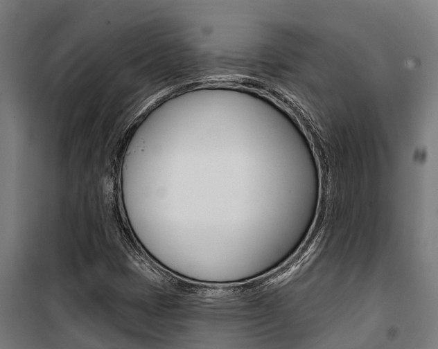 X0000100751401200806190812