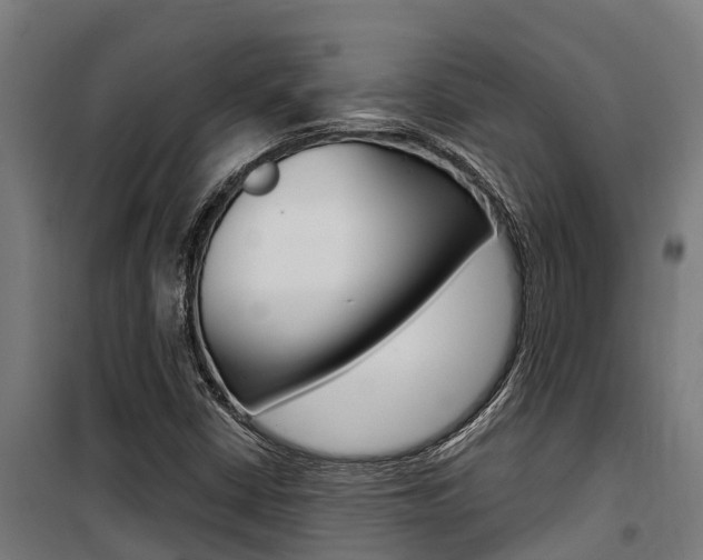 X0000100751402200806190812