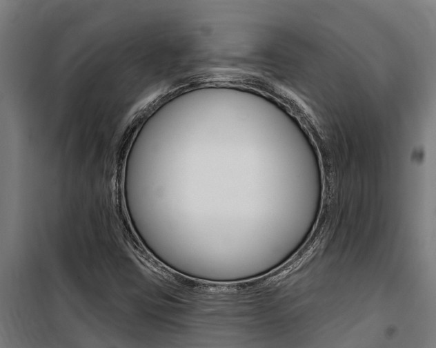 X0000100751403200806190812