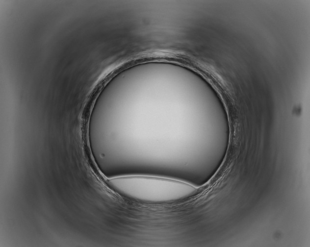 X0000100751404200806190812
