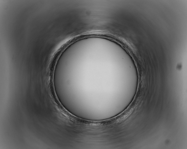 X0000100751406200806190812