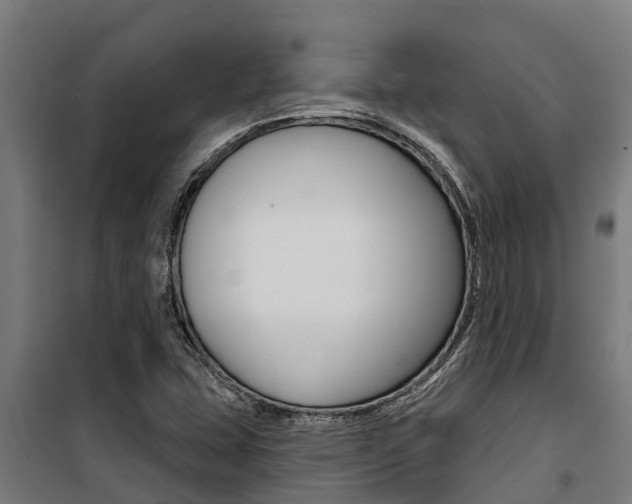 X0000100751407200806190812