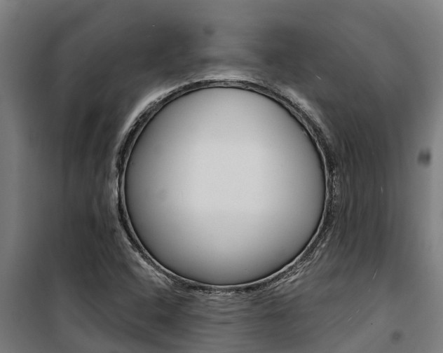X0000100751408200806190812