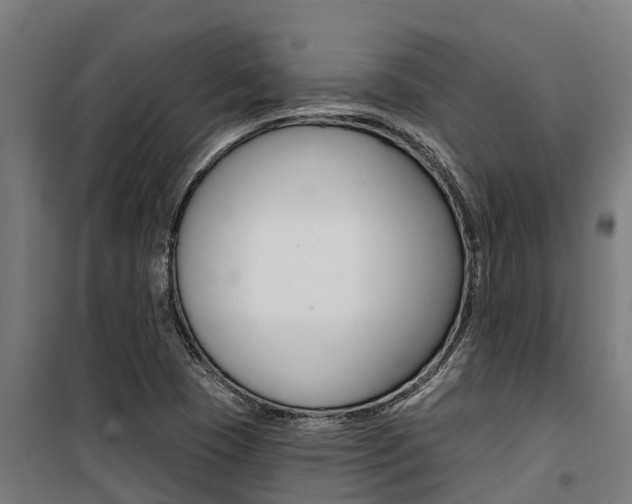 X0000100751409200806190812