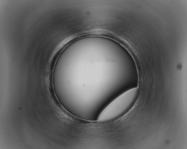 X0000100751410200806190812