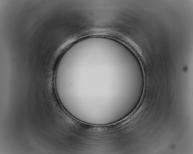 X0000100751411200806190812
