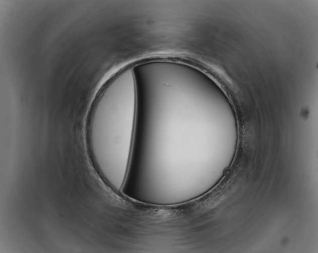 X0000100751412200806190812