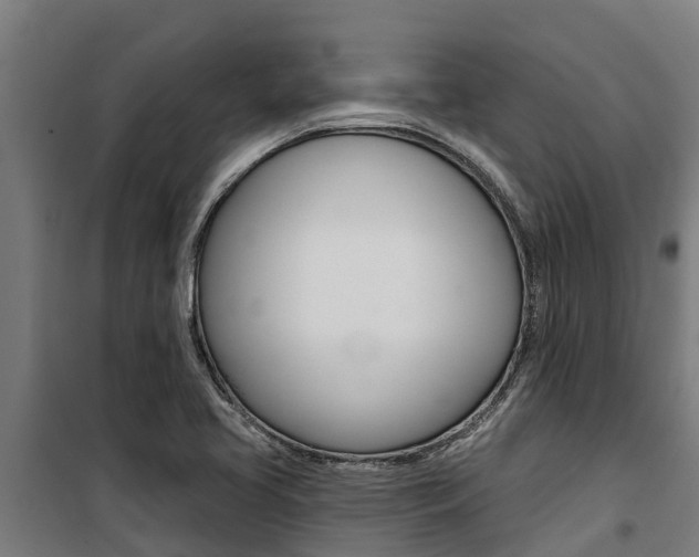 X0000100751413200806190812