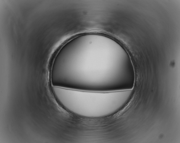 X0000100751414200806190812