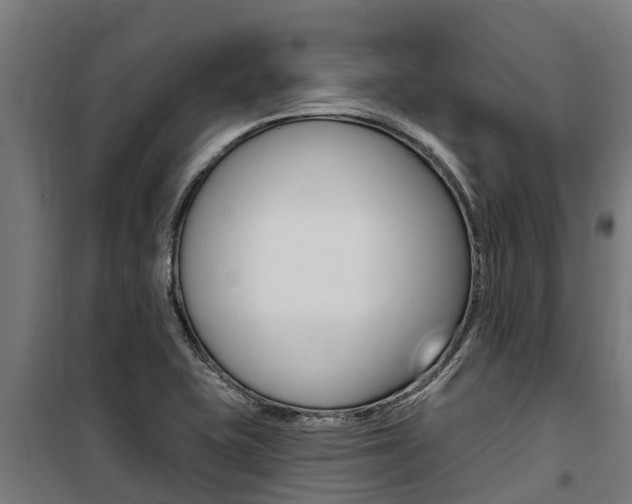 X0000100751415200806190812