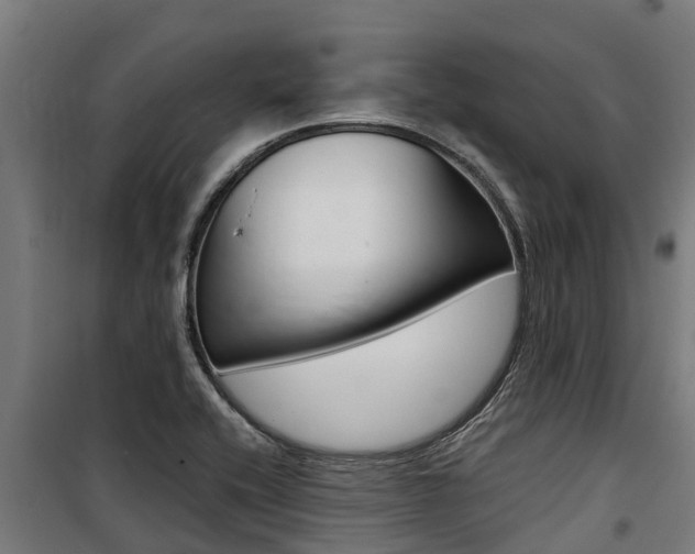 X0000100751416200806190812