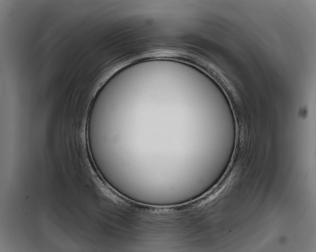 X0000100751417200806190812