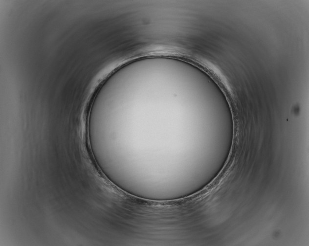 X0000100751419200806190812