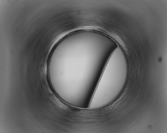 X0000100751420200806190812