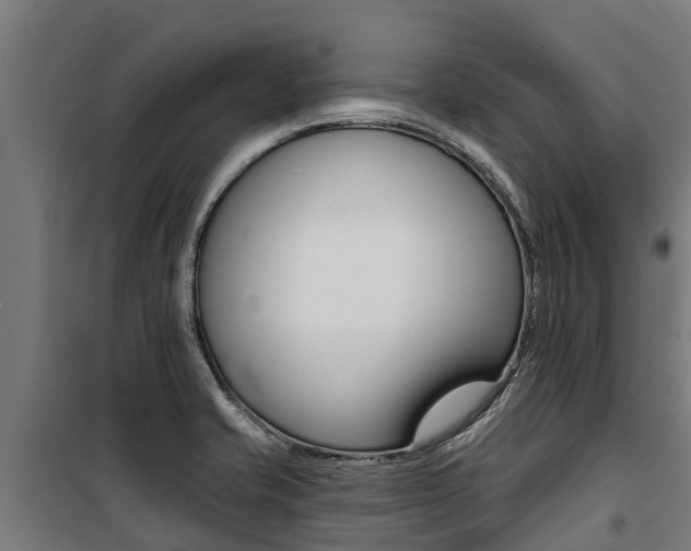 X0000100751421200806190812