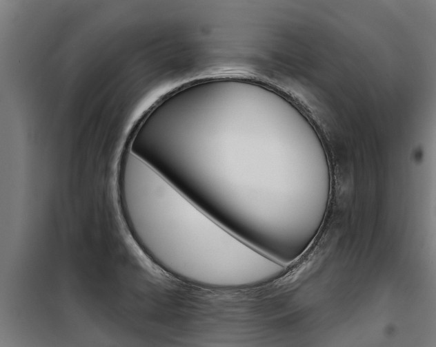 X0000100751422200806190812