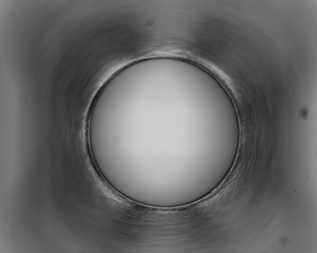 X0000100751423200806190812