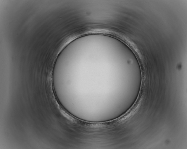 X0000100751425200806190812