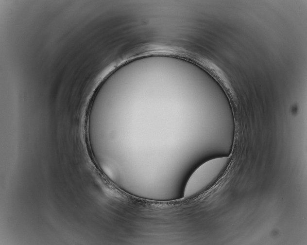 X0000100751427200806190812