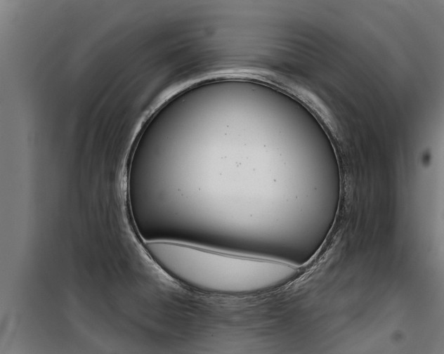 X0000100751428200806190812