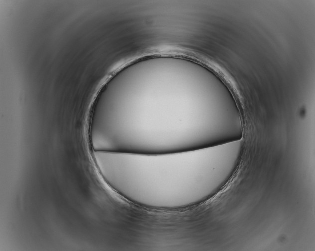 X0000100751429200806190812
