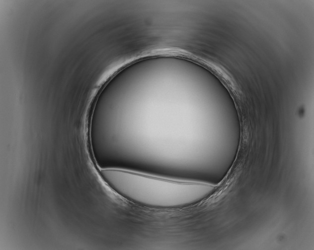 X0000100751430200806190812