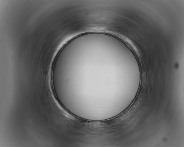 X0000100751432200806190812