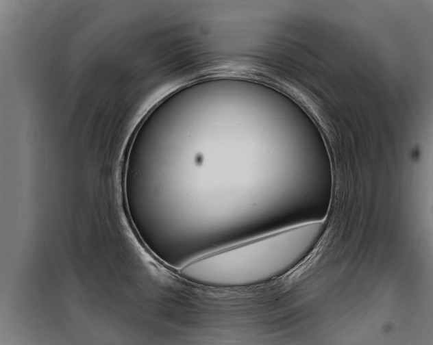 X0000100751434200806190812