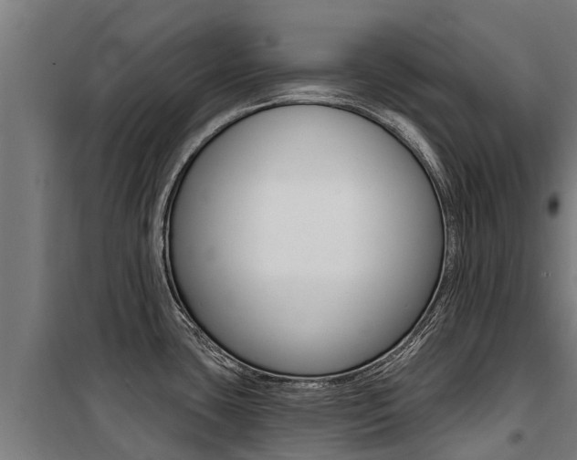 X0000100751435200806190812
