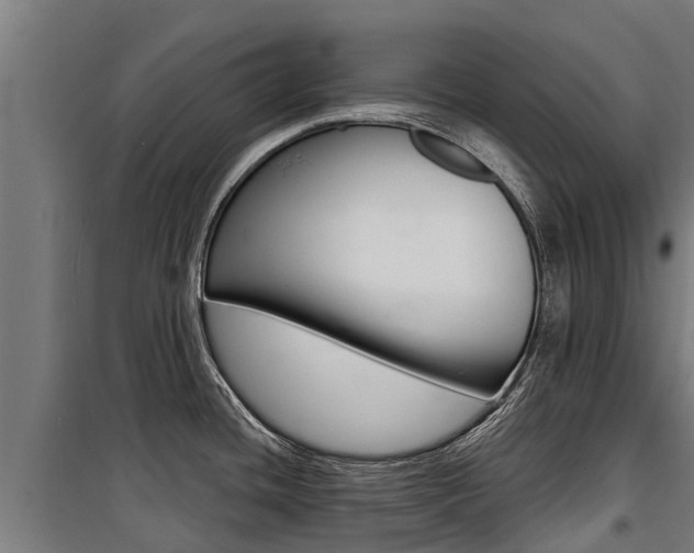 X0000100751436200806190812