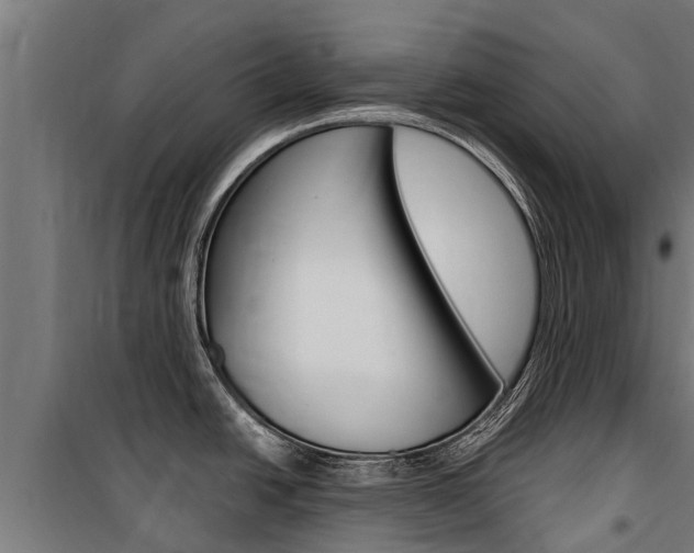 X0000100751438200806190812