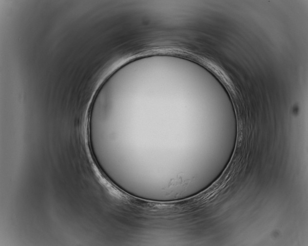 X0000100751439200806190812