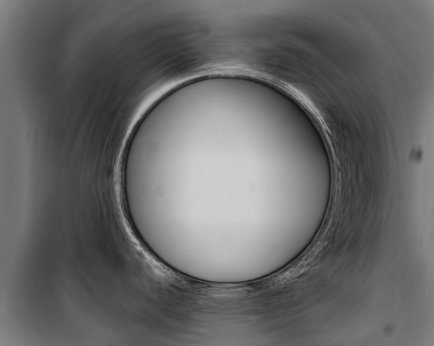 X0000100751440200806190812