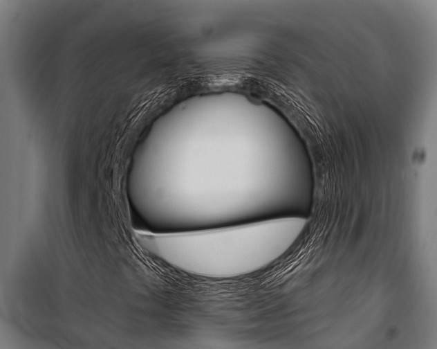 X0000100751441200806190812