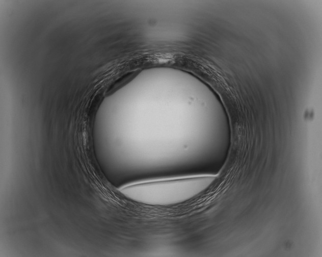 X0000100751442200806190812