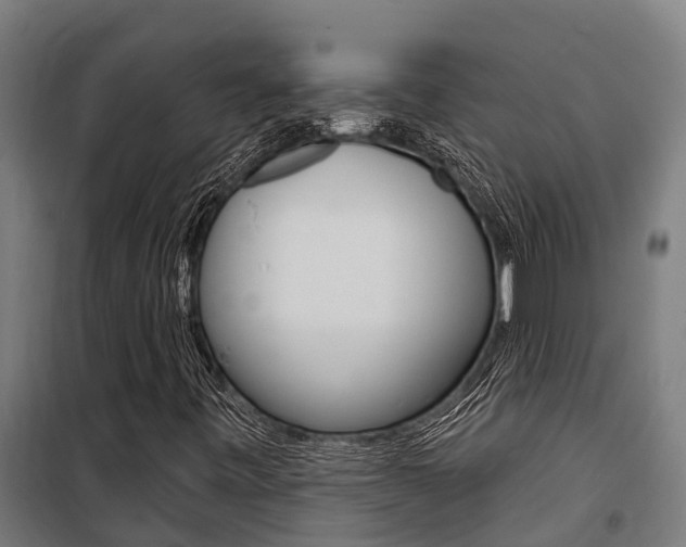 X0000100751443200806190812